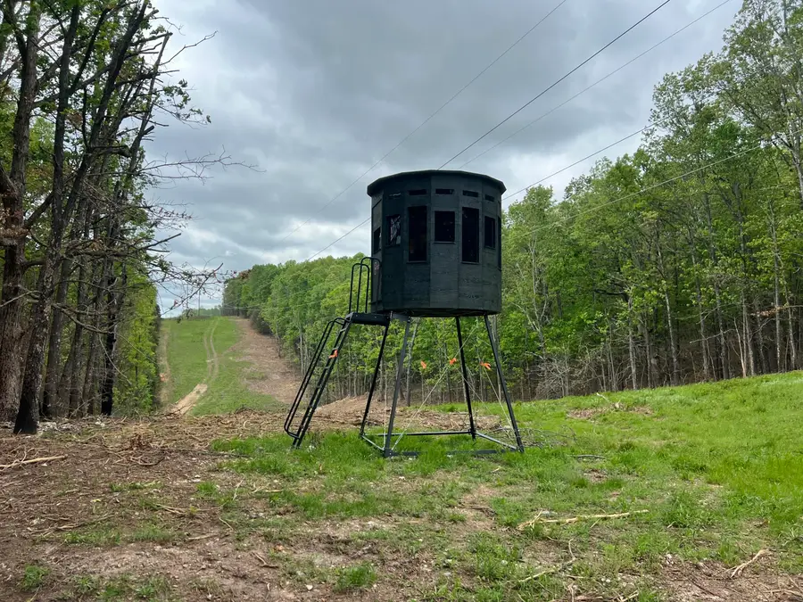 Co Rd 321 Route 5, Ava, MO 65608 - #2