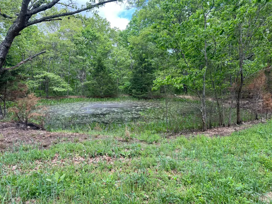 Co Rd 321 Route 5, Ava, MO 65608 - #3