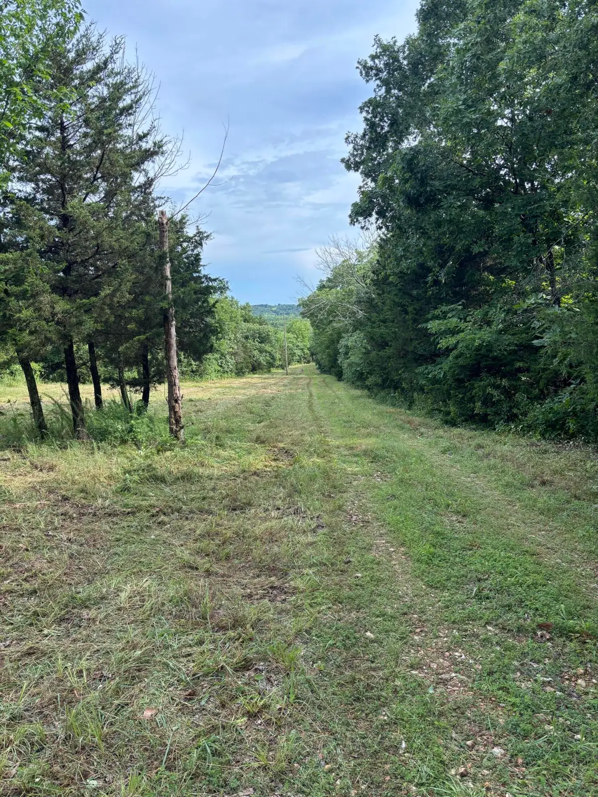 000 Highway T, Weaubleau, MO 65774 - #1