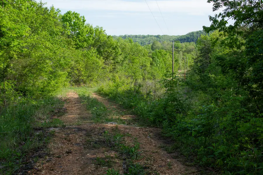 000 Terrace Lane, Cape Fair, MO 65624 - #2