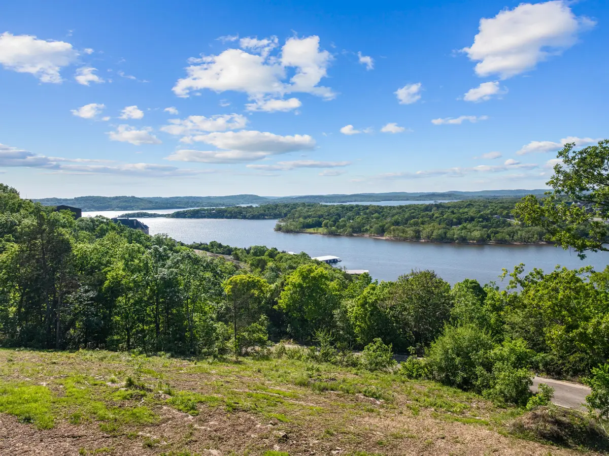 1150 Skylee Drive, Hollister, MO 65672 - #1