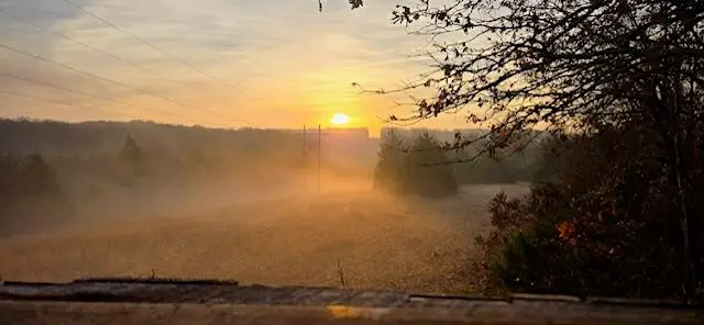 4515 Wallen Road, Summersville, MO 65571 - #1