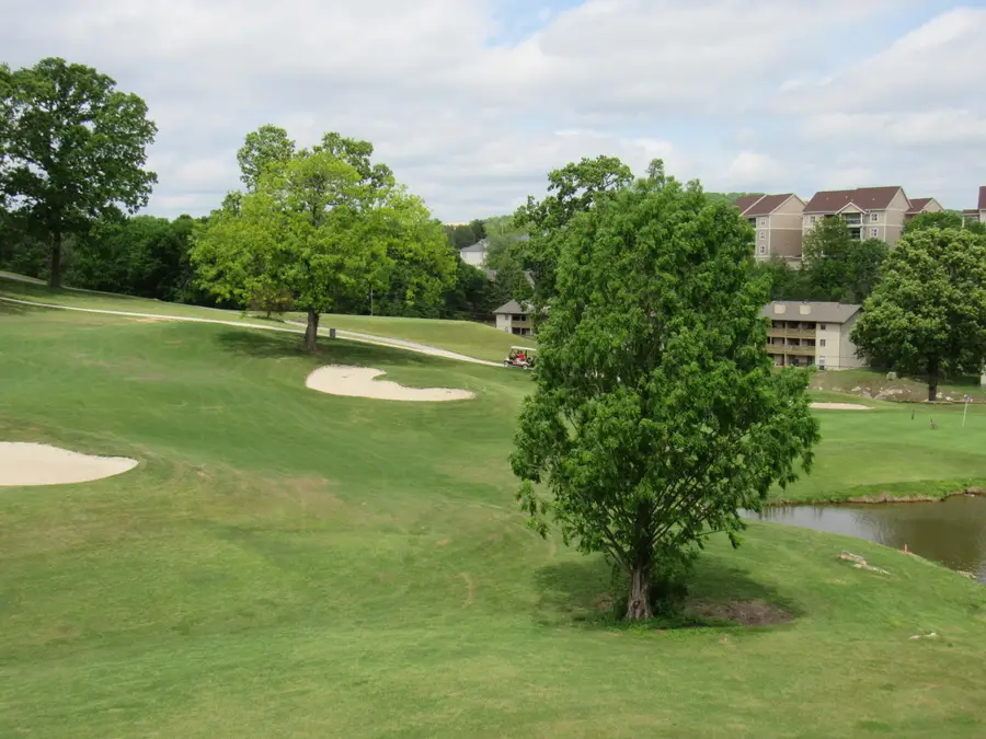 243 Clubhouse Drive #11, Branson, MO 65616 - #2
