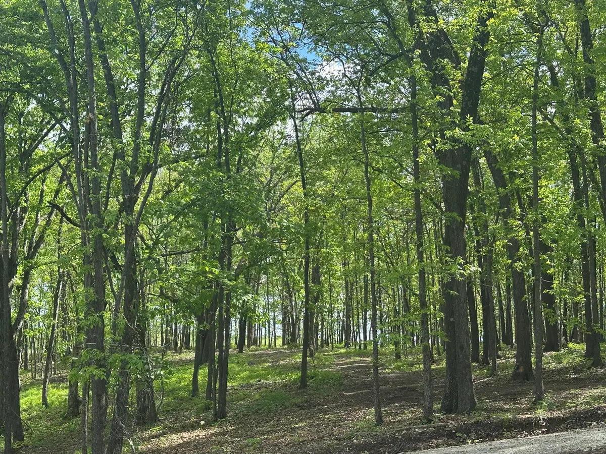 Tract 2 W Farm Road 36, Willard, MO 65781 - #1