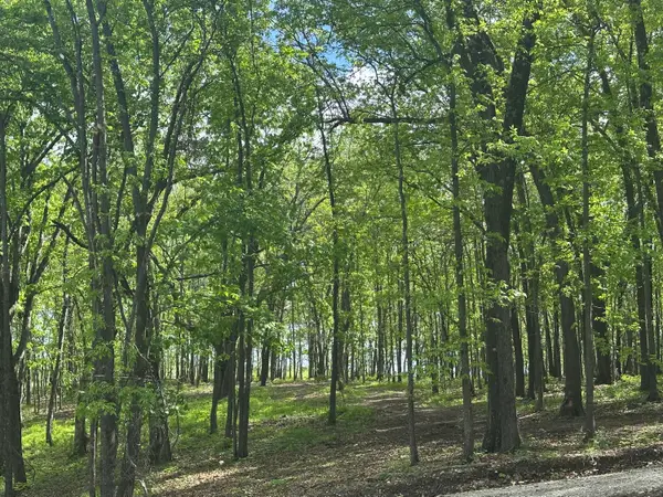 Tract 2 W Farm Road 36, Willard, MO 65781