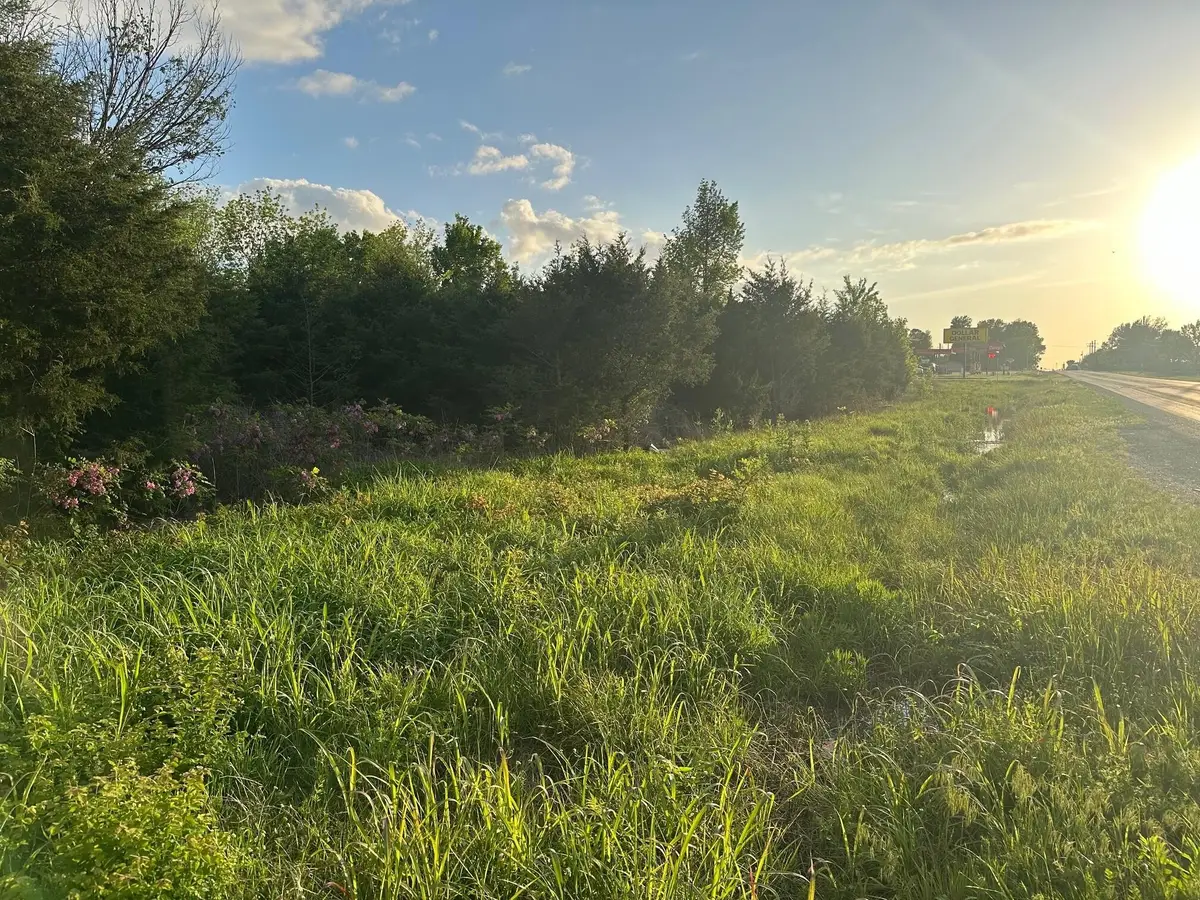 000 E 7th Street, Duenweg, MO 64841 - #1