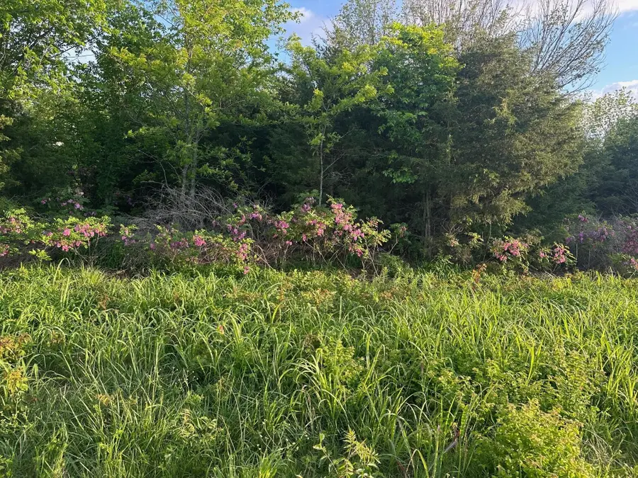 000 E 7th Street, Duenweg, MO 64841 - #2