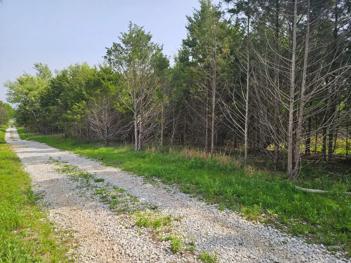 226 Lilac Tract E Lane #Tract E, Rogersville, MO 65742 - #1