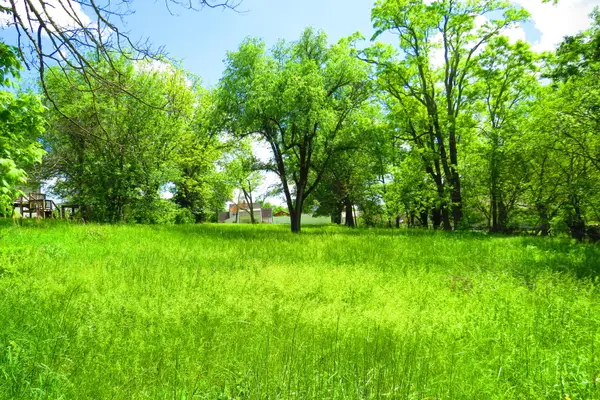 403 E Hamilton Avenue, Ava, MO 65608