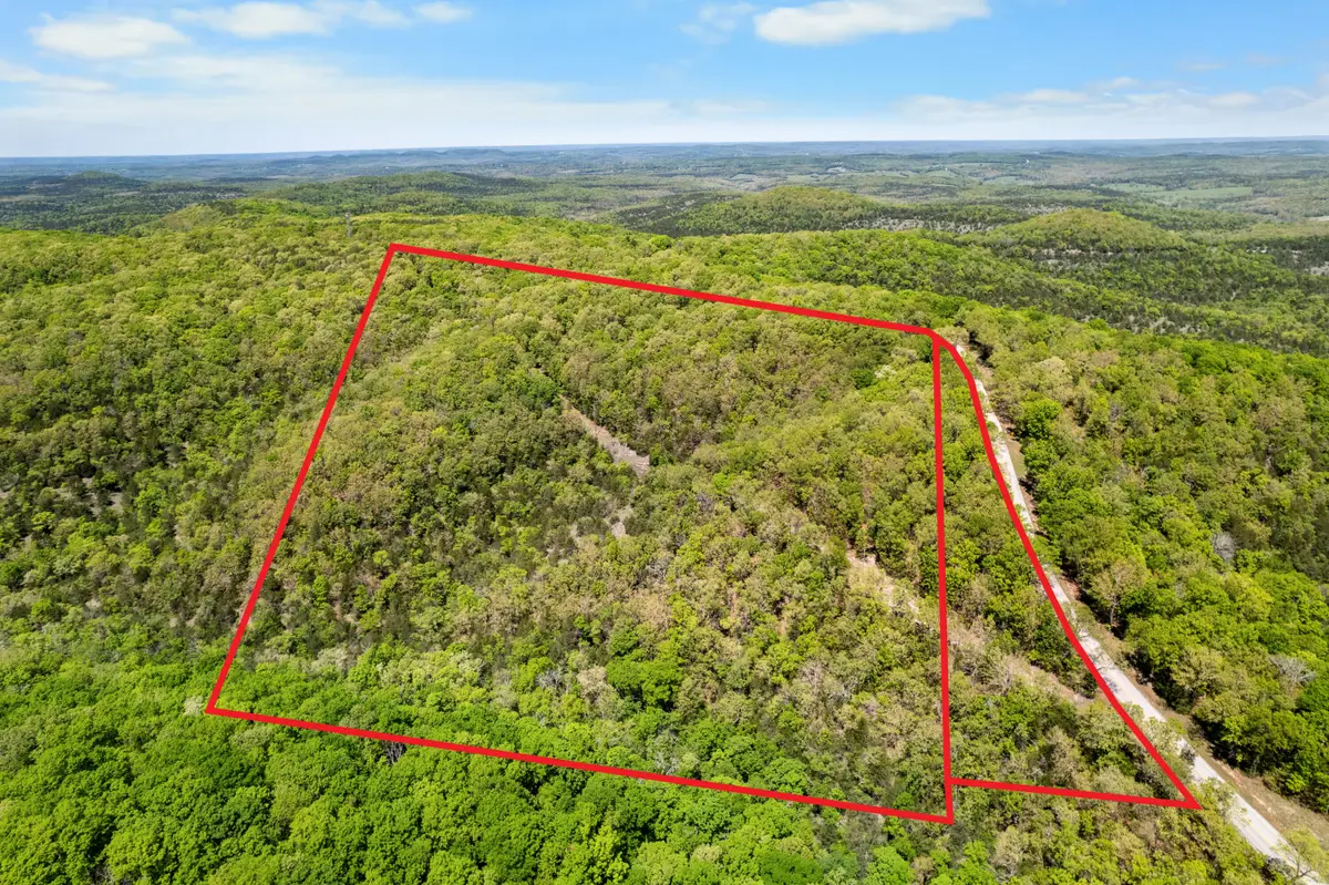 6891 N State Highway 125, Bradleyville, MO 65614 - #1