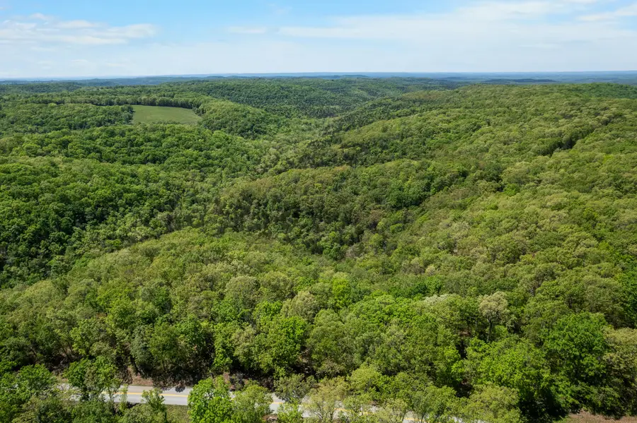 6891 N State Highway 125, Bradleyville, MO 65614 - #2