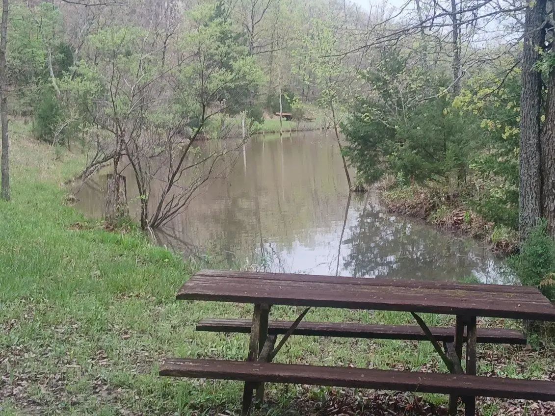 40 Acres State Road D, Camdenton, MO 65020 - #1