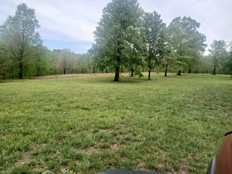 40 Acres State Road D, Camdenton, MO 65020 - #2