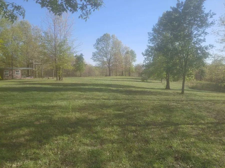 40 Acres State Road D, Camdenton, MO 65020 - #3