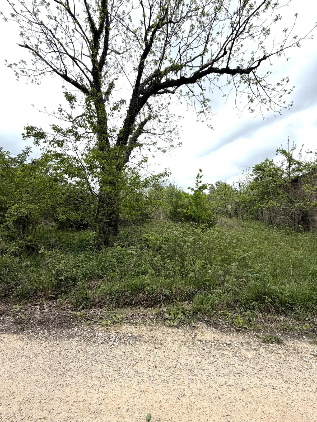 6919 County Road 665, Birch Tree, MO 65438 - #1