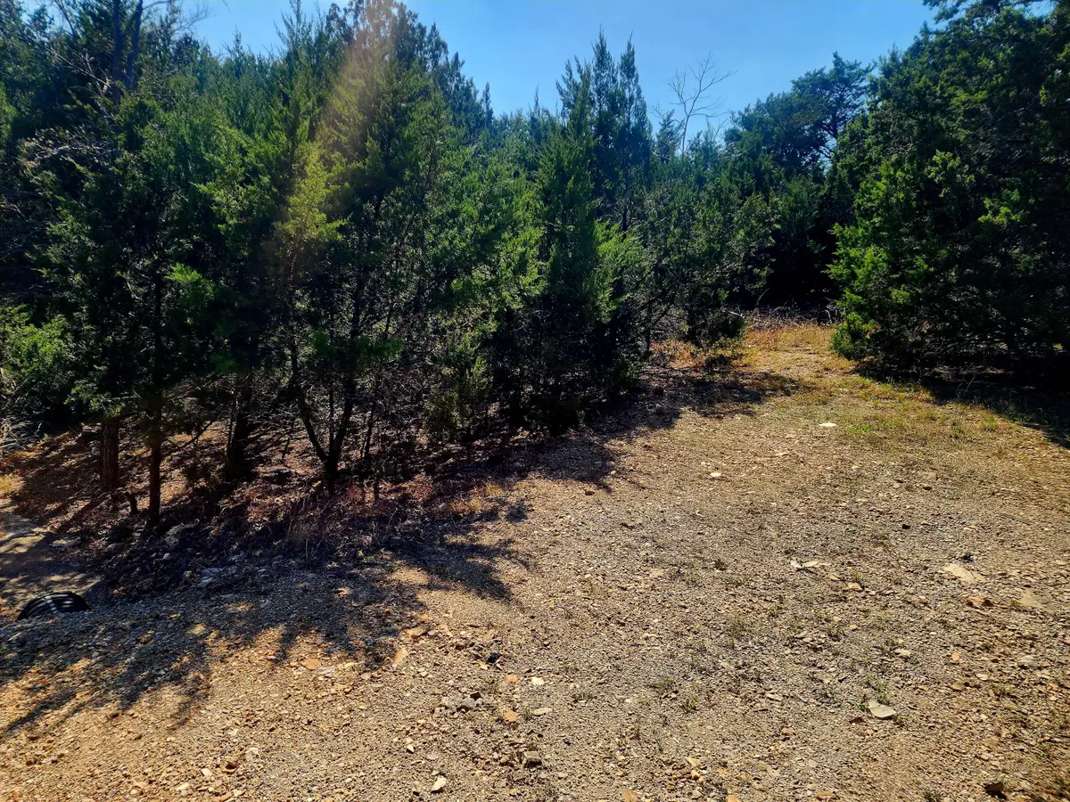 Lot 4 Blk Cedar Drive #Lot 4 Blk 9, Blue Eye, MO 65611 - #1