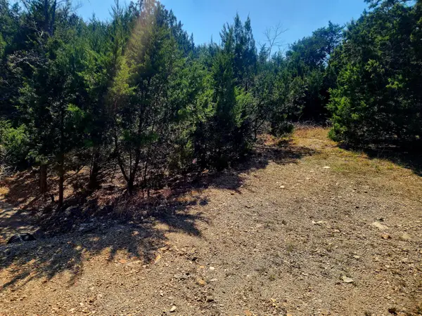 Lot 4 Blk Cedar Drive #Lot 4 Blk 9, Blue Eye, MO 65611