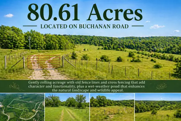 1584 Buchanan Road, Branson, MO 65616
