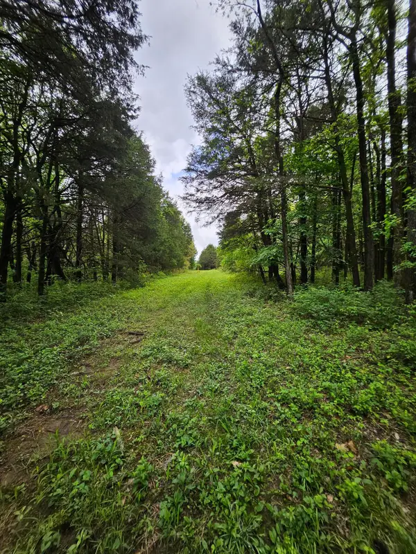 000 W Dade 2, Jerico Springs, MO 64756