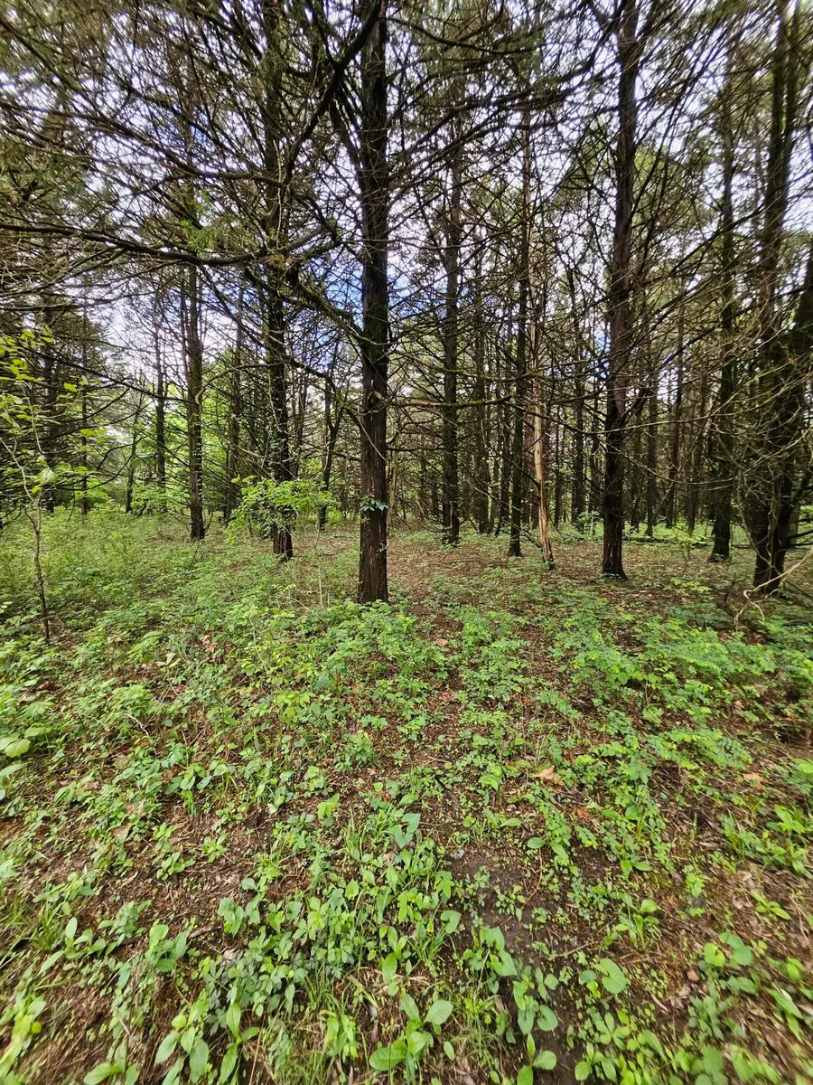 000 W Dade 2, Jerico Springs, MO 64756 - #2