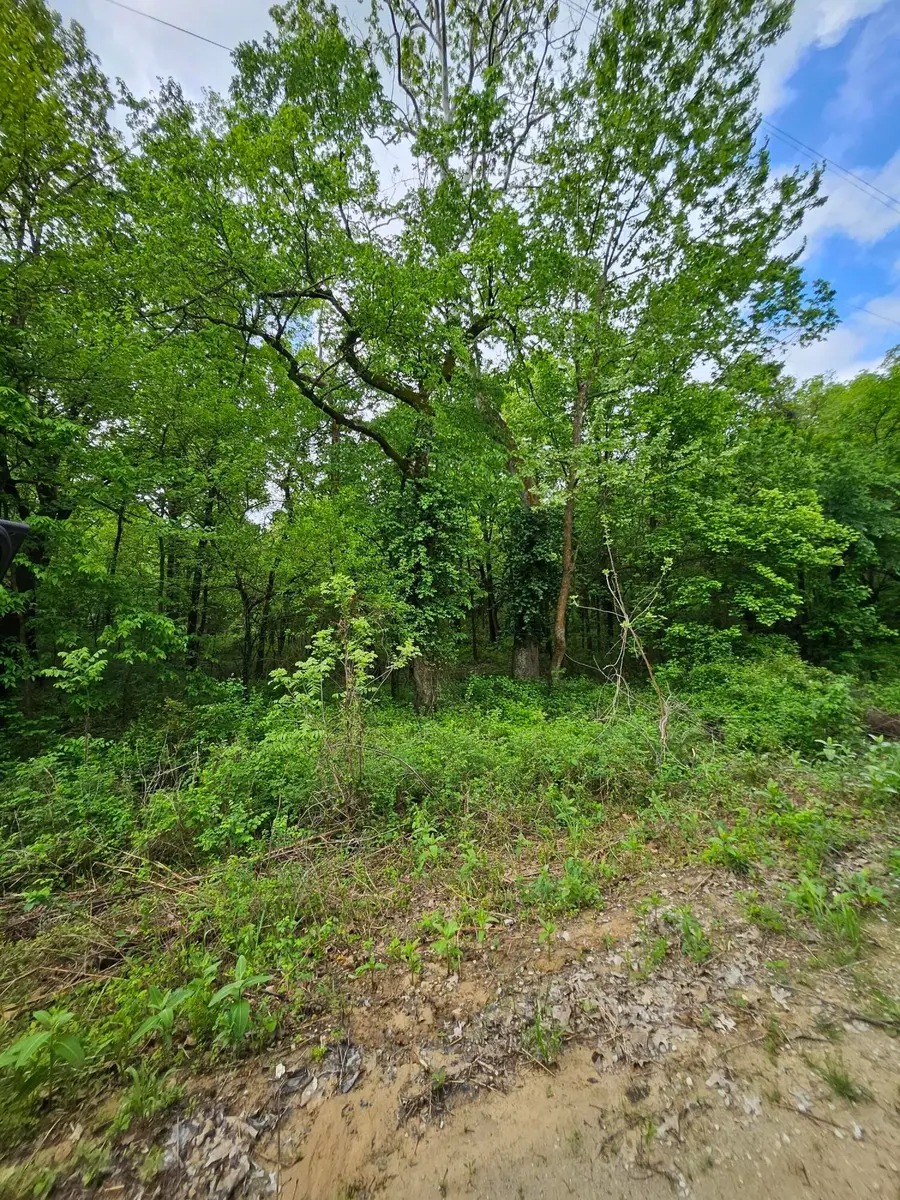 000 W Dade 2, Jerico Springs, MO 64756 - #3