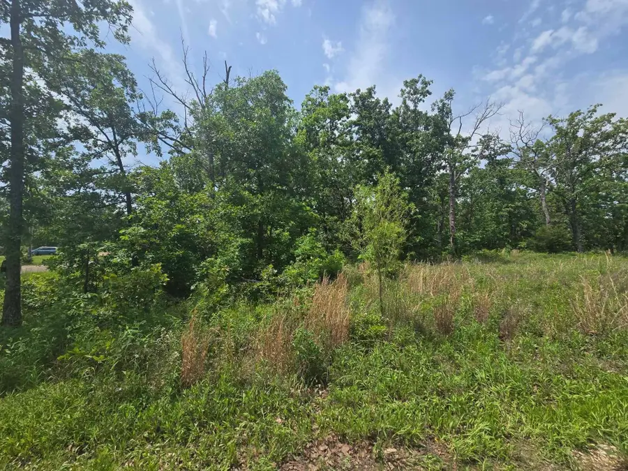 000 64 Hwy #Lot 12, Lebanon, MO 65536 - #3