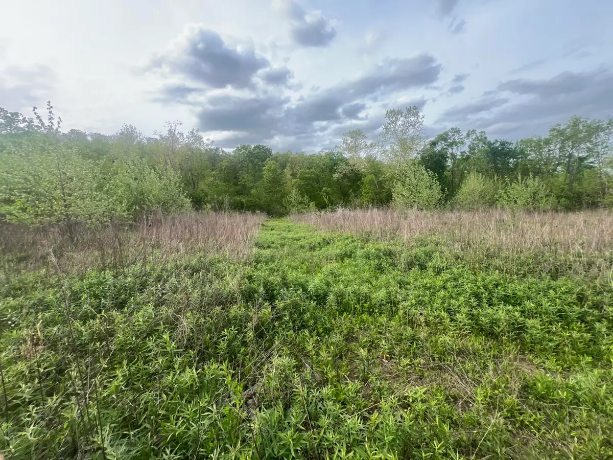 0000 Cedar Gap Central Lane, Mansfield, MO 65704 - #1