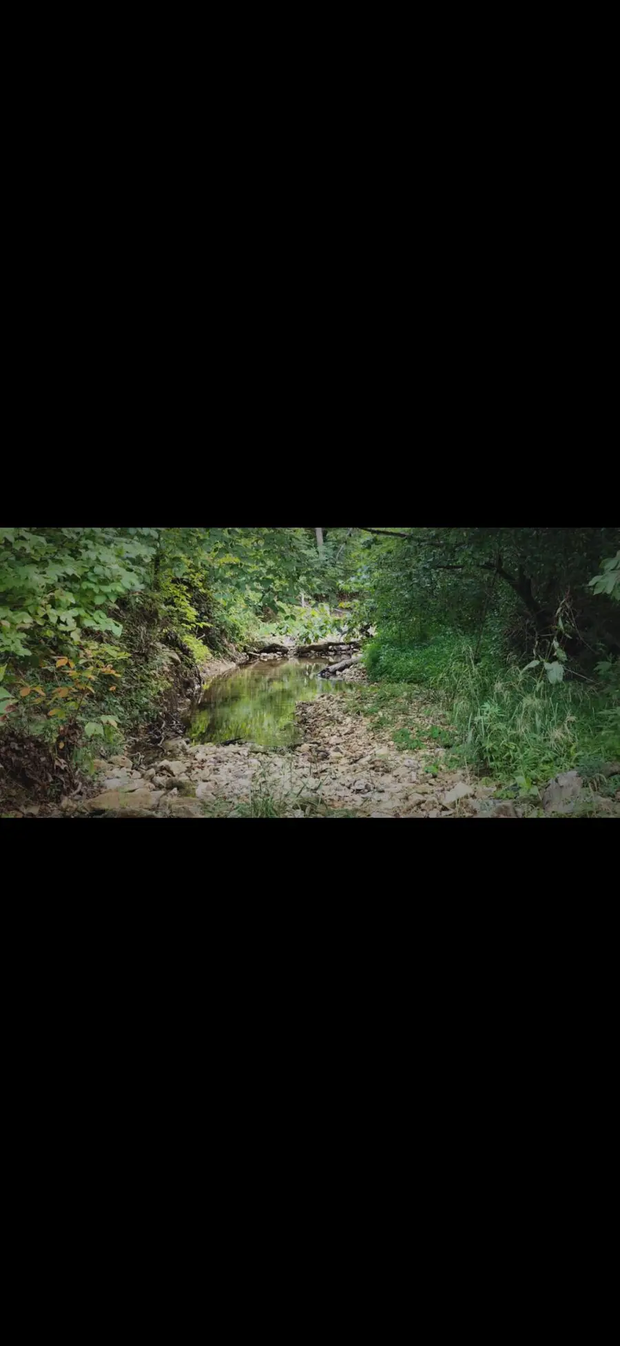 0000 Cedar Gap Central Lane, Mansfield, MO 65704 - #3