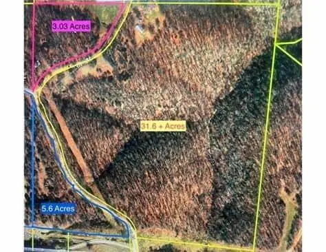 519 Trent Road, Washburn, MO 65772 - #1