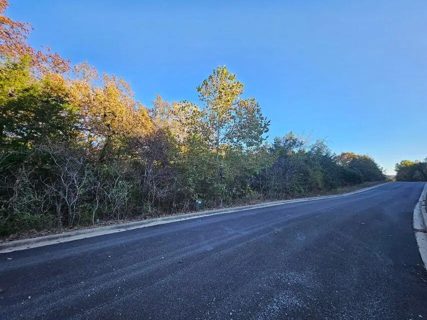 445 Bay View Drive, Hollister, MO 65672 - #1