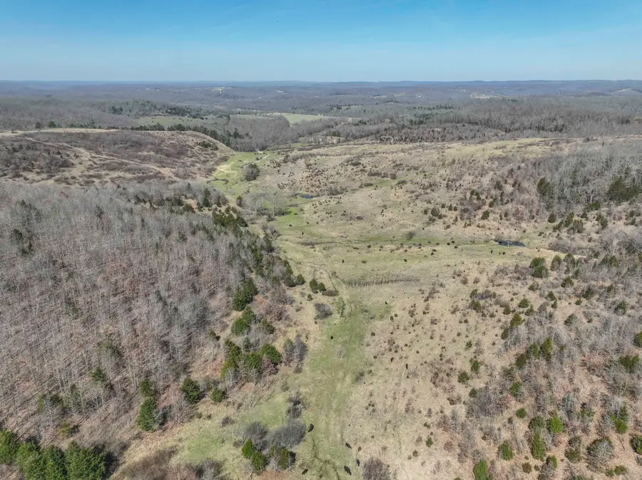 000 County Road 123, Norwood, MO 65717 - #2
