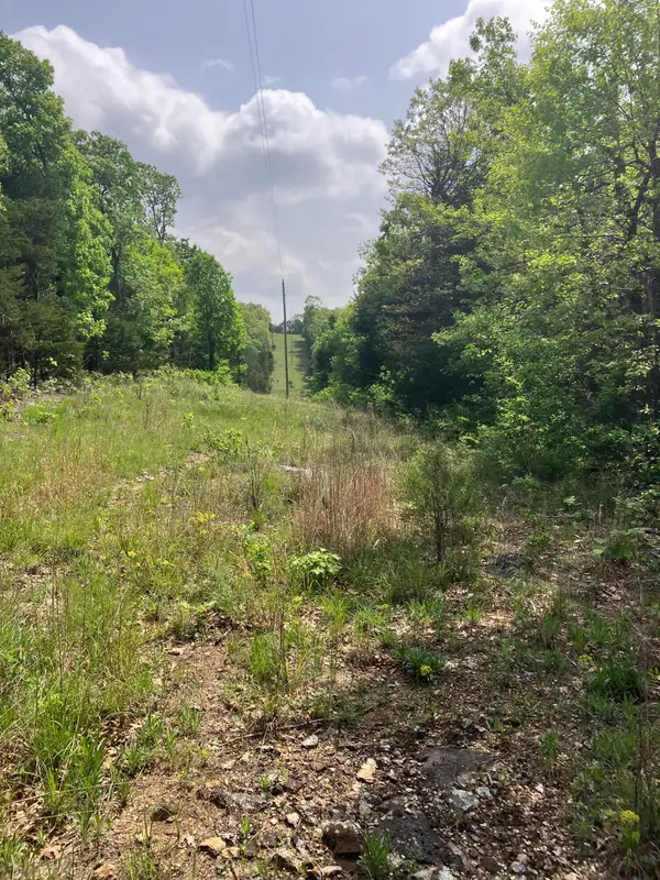 000 County Road V-234, Drury, MO 65638