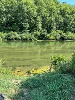 876 County Road 368, Dora, MO 65637 - #2