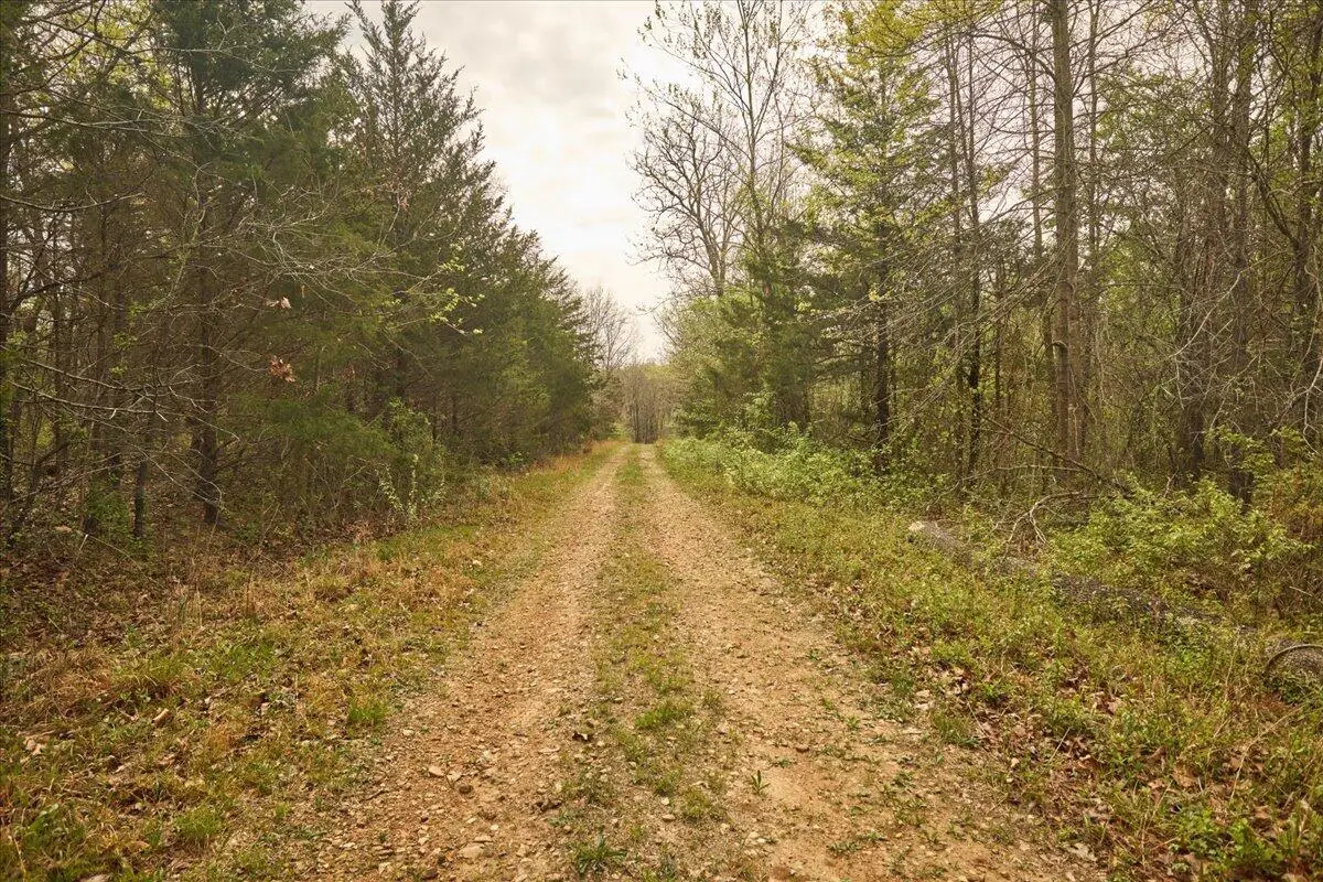 000 Thirteenth Road, Mountain Grove, MO 65711 - #1