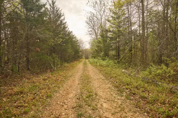 000 Thirteenth Road, Mountain Grove, MO 65711