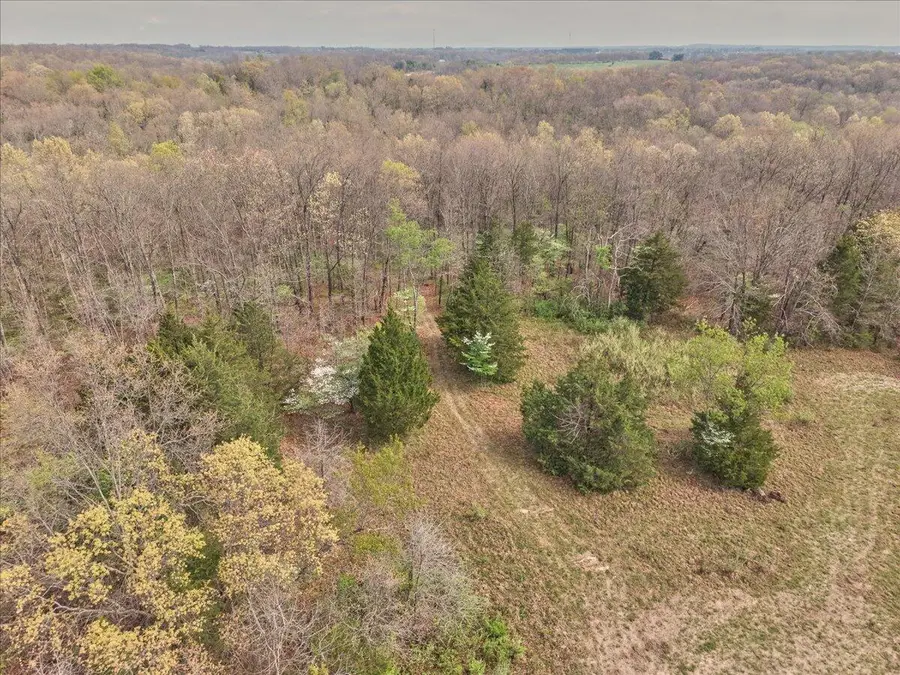 000 Thirteenth Road, Mountain Grove, MO 65711 - #2