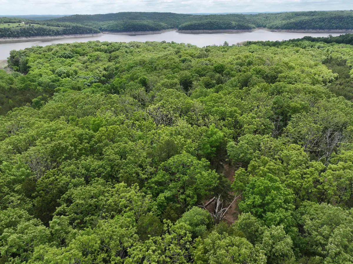 Lot 40&41 Timber Shoals Road, Cedar Creek, MO 65627 - #1