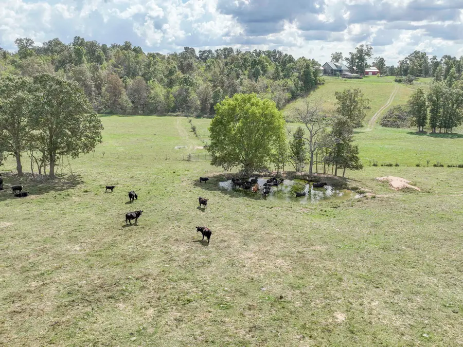 4083 State Route W, West Plains, MO 65775 - #2