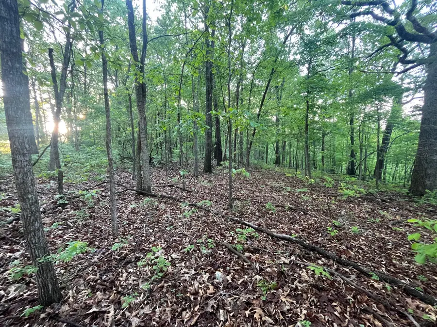000 Farm Road 2170, Exeter, MO 65647 - #2