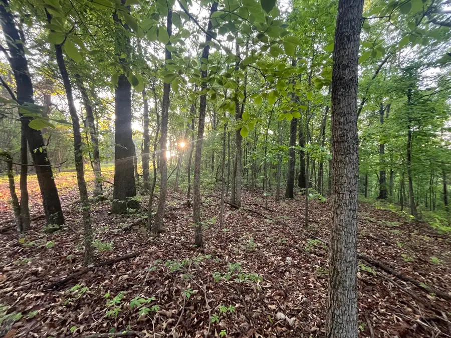 000 Farm Road 2170, Exeter, MO 65647 - #3