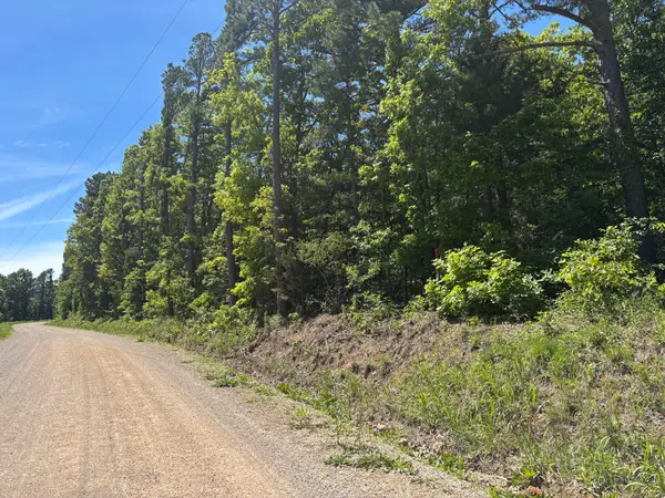 Tbd County Road 154, Brixey, MO 65618