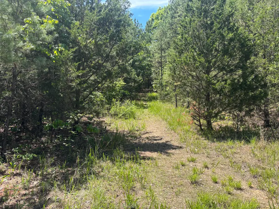 Tbd County Road 154, Brixey, MO 65618 - #3