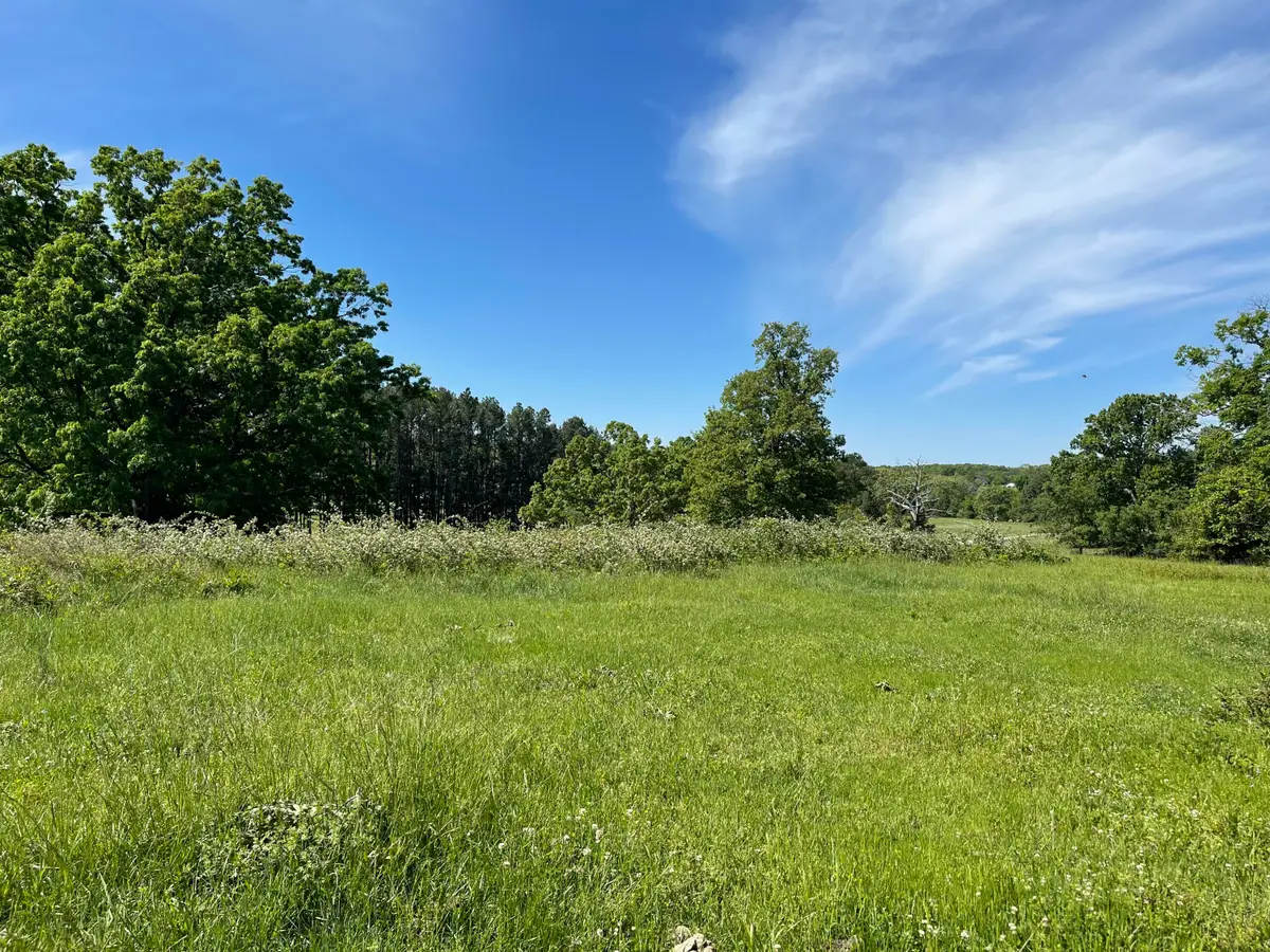 3917 County Road 4220, West Plains, MO 65775 - #1