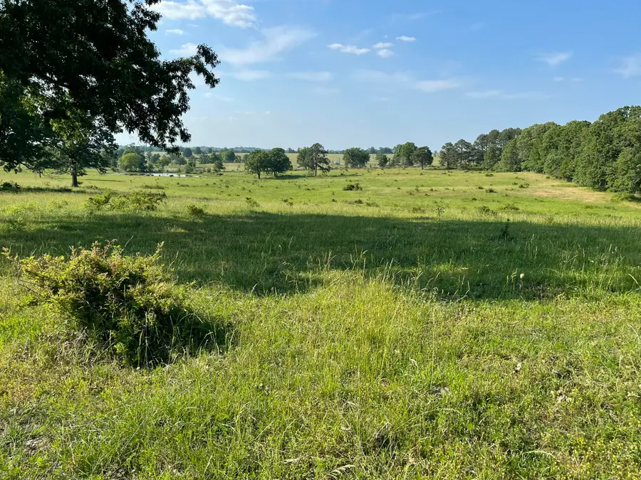 3917 County Road 4220, West Plains, MO 65775 - #3
