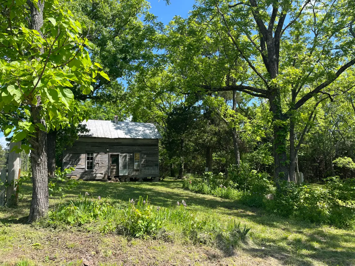 3020 State Highway W, Dora, MO 65637 - #1