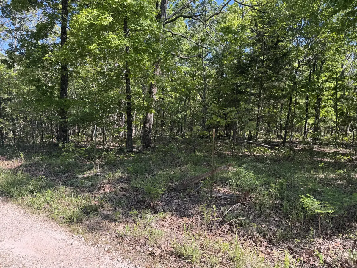 000 Mandrake Lane, Niangua, MO 65713 - #1