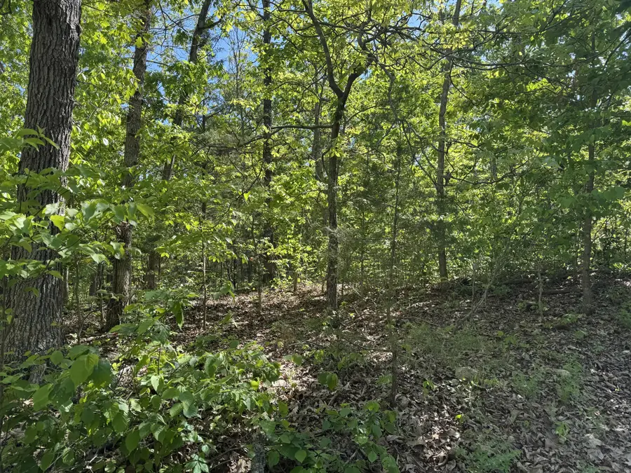 000 Mandrake Lane, Niangua, MO 65713 - #2