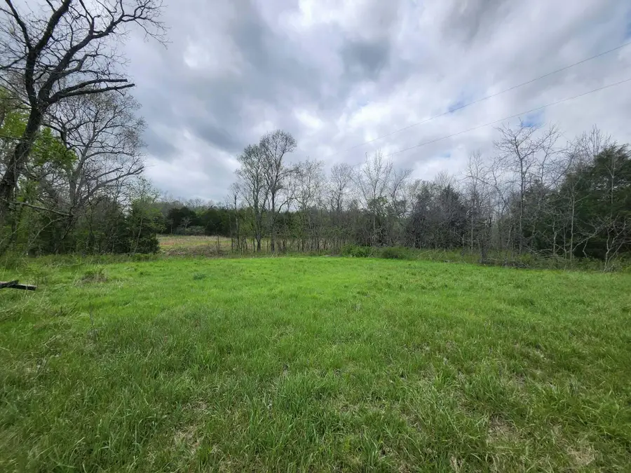 000 County Road 250, Drury, MO 65638 - #2