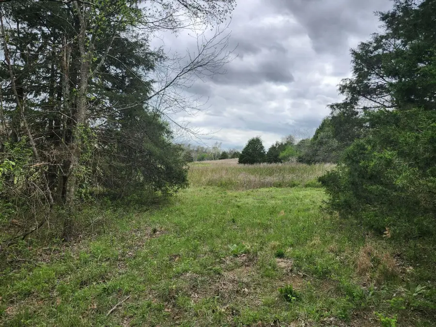 000 County Road 250-163, Drury, MO 65638 - #2