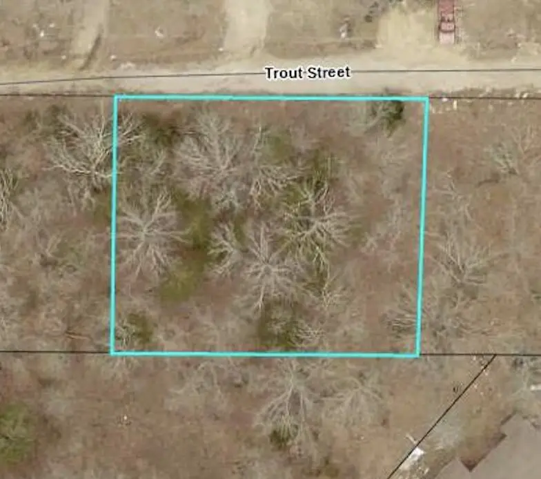 140 Trout Street, Kissee Mills, MO 65680 - #1